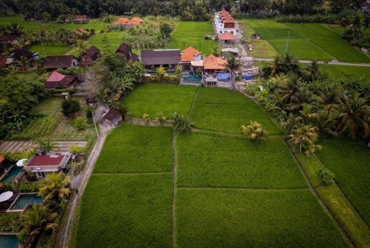 Uma Jala Villa Ubud 外观 照片