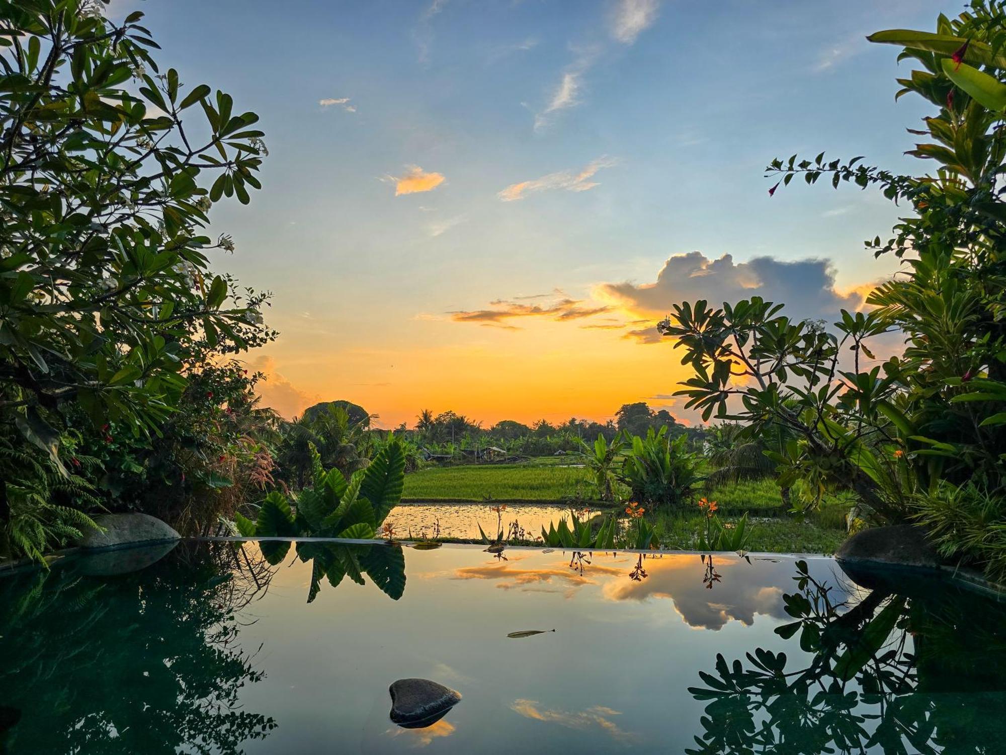 Uma Jala Villa Ubud 外观 照片